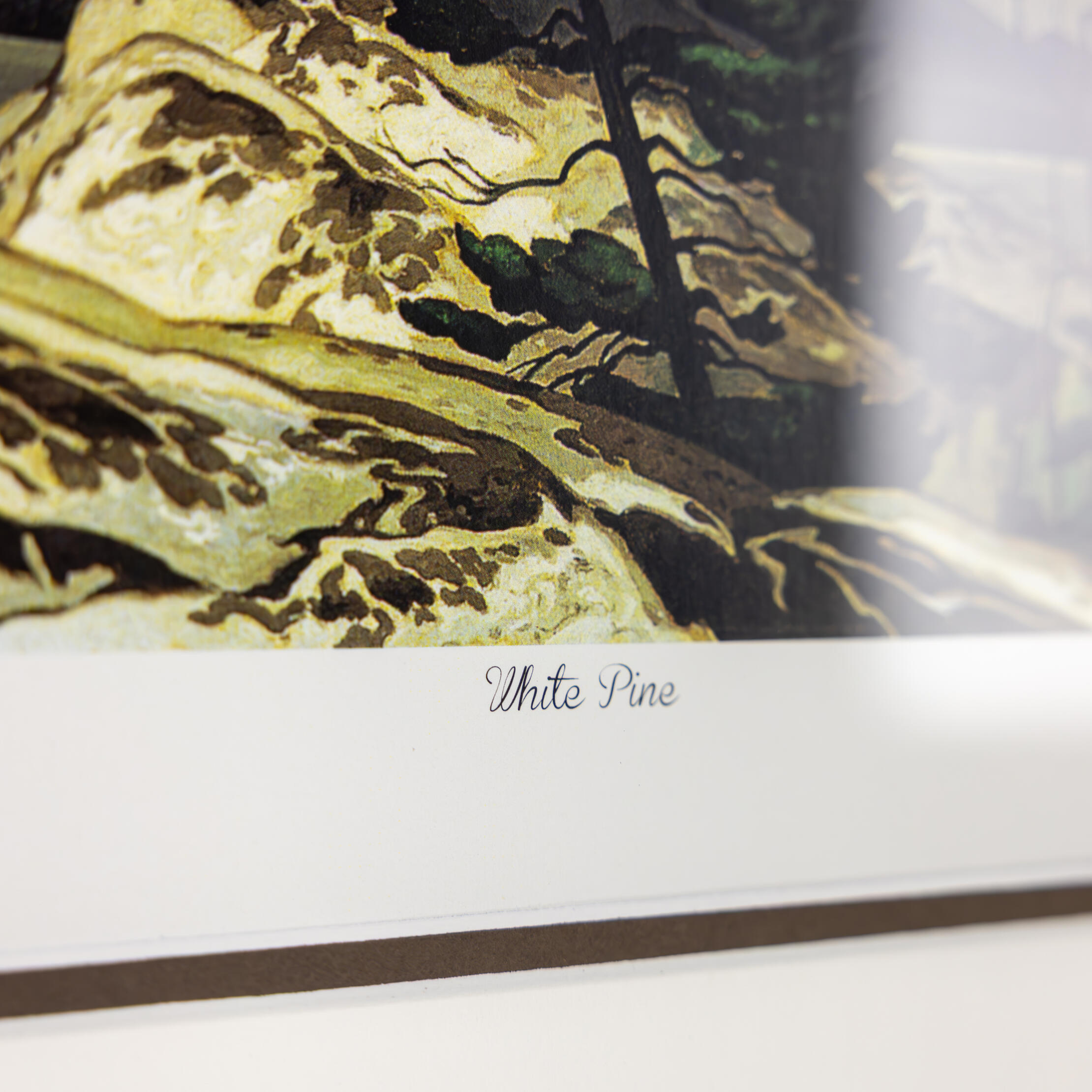 White Pine 34x30 Espresso frame $165